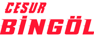 Cesur Bingöl Seyahat
