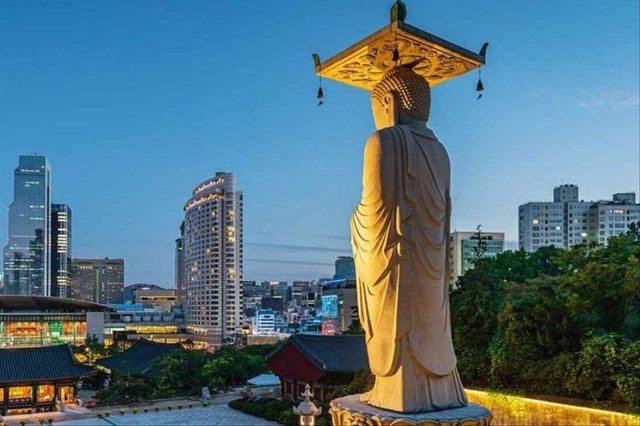 Uzak Doğu’nun Çiçeği ve Güneşi “Güney Kore ve Japonya” THY ile 9 gece (ICN-HND) Seul (3) – Osaka (3) – Nara – Kyoto – Tokyo (3) – Hakone | Tüm turlar ve giriş ücretleri dahil