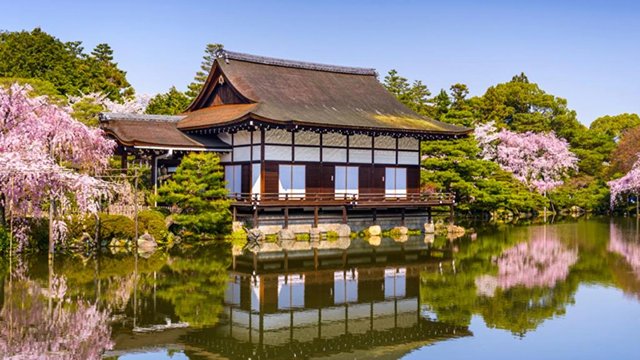 Platinum Doğu Asya’nın Güneşi “Japonya” THY ile 5 gece (NRT-KIX) Tokyo (2) – Hakone – Osaka (3) – Kyoto – Nara | Tüm turlar ve giriş ücretleri dahil
